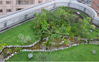 永續生態屋頂_新聞用圖