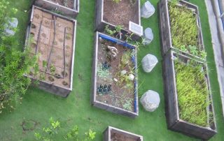 永續生態屋頂_新聞用圖